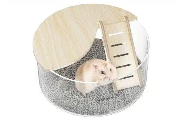 Bucatstate Sand Bath Round acrylic and wood Bucatstate sand bath with a dwarf hamster inside