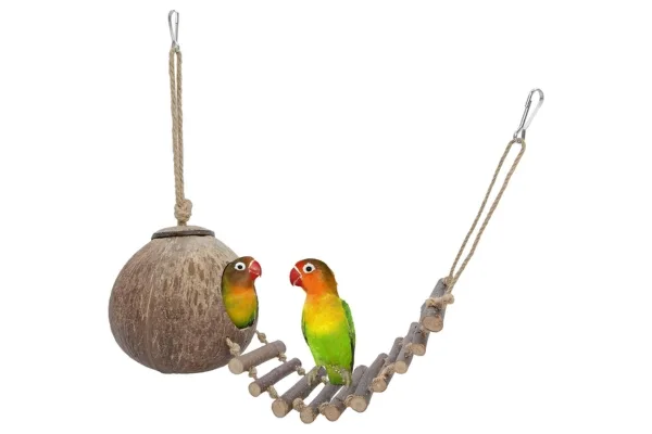 Niteangel Hanging Coconut with Bridge Niteangel hanging coconut hide with a wooden bridge and two colorful birds sitting in the hide and on the bridge