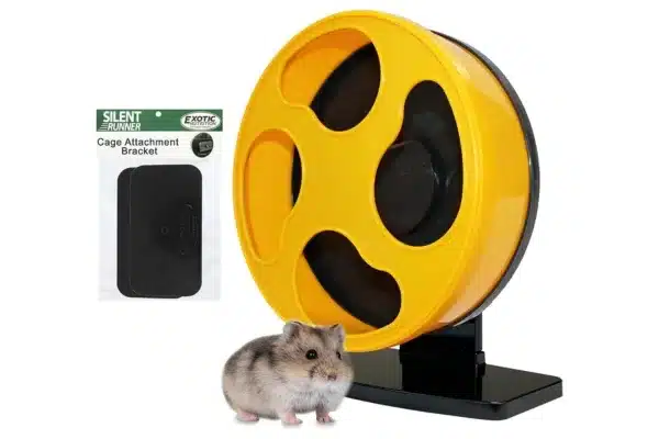 Silent Runner Wheel - 9 Regular Grey dwarf hamster next to Silent Runner Wheel