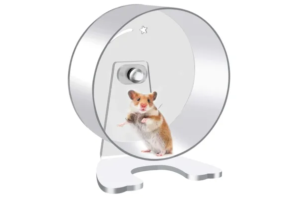 Zacro Hamster Exercise Wheel Syrian hamster on a Zacro hamster wheel