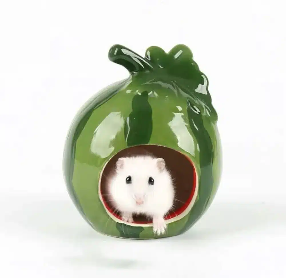 Ceramic watermelon hide for hamsters mice and gerbils