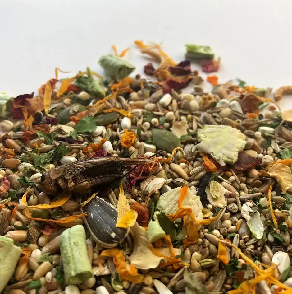 Robin's Gourmet gerbil seed mix